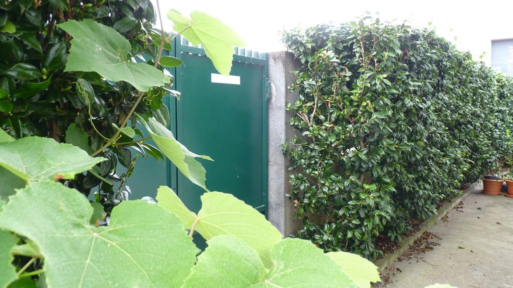 Ponta Delgada Azores Holidays House -B&B - Suites - Self Check-In Keyboard מראה חיצוני תמונה